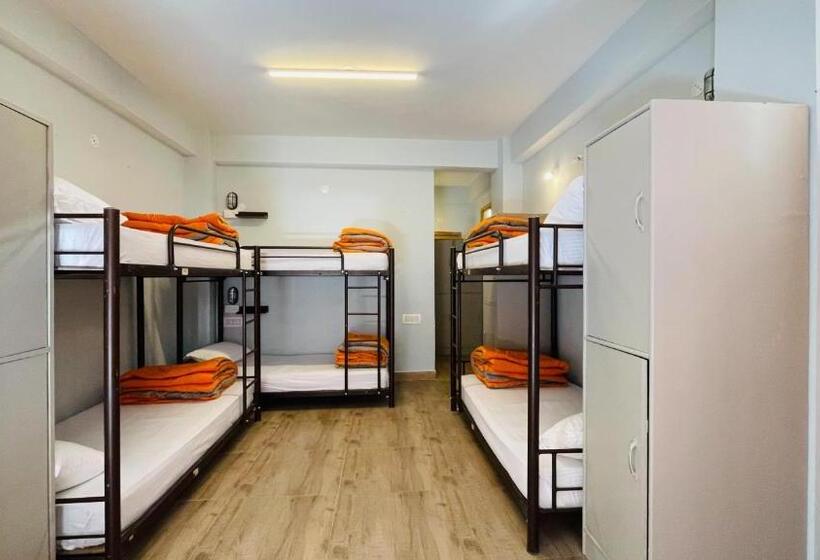 Albergue Madpackers Jibhi Of Streamsides & Waterfalls