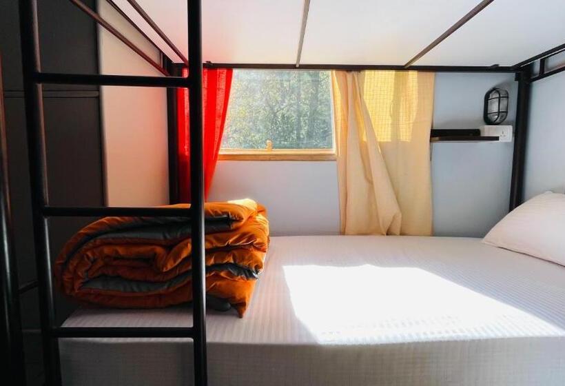 Albergue Madpackers Jibhi Of Streamsides & Waterfalls
