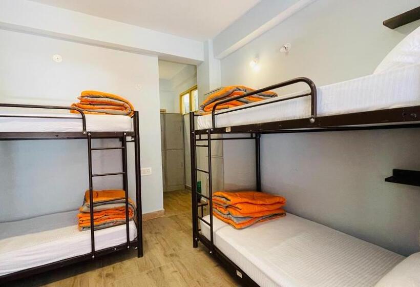 Albergue Madpackers Jibhi Of Streamsides & Waterfalls