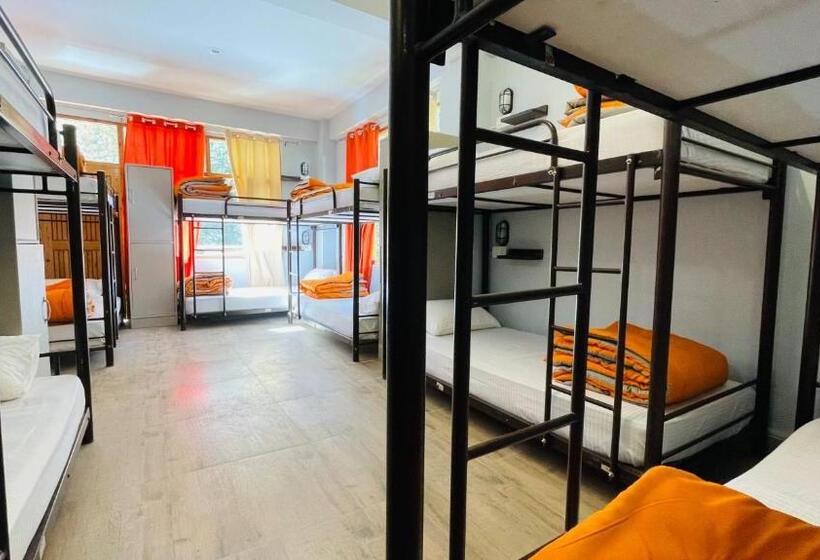 Albergue Madpackers Jibhi Of Streamsides & Waterfalls