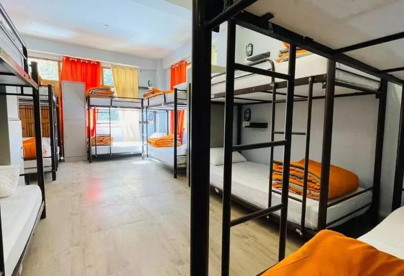 Retkeilymaja Madpackers Jibhi   Of Streamsides & Waterfalls