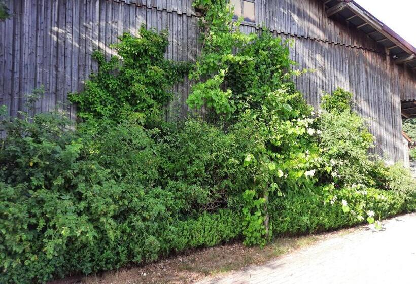 Ferienwohnung Noltenius