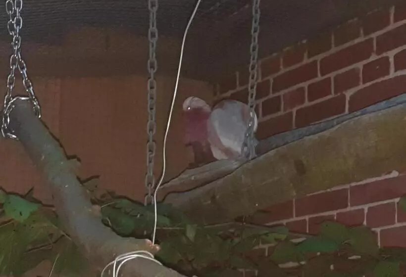 Ferienwohnung Noltenius