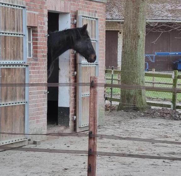 Ferienwohnung Noltenius