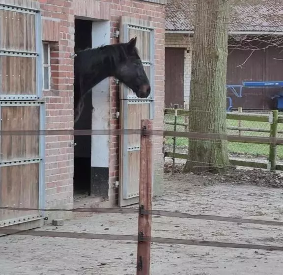 Ferienwohnung Noltenius