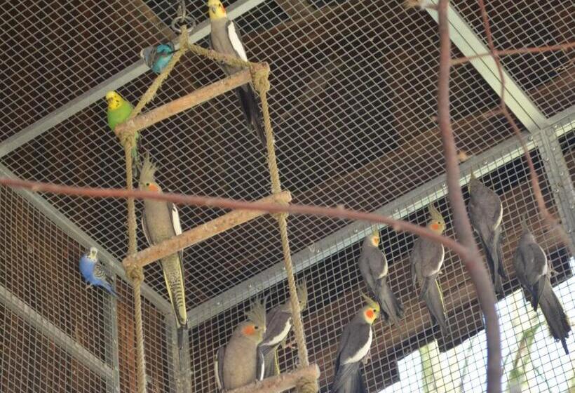 Ferienwohnung Noltenius