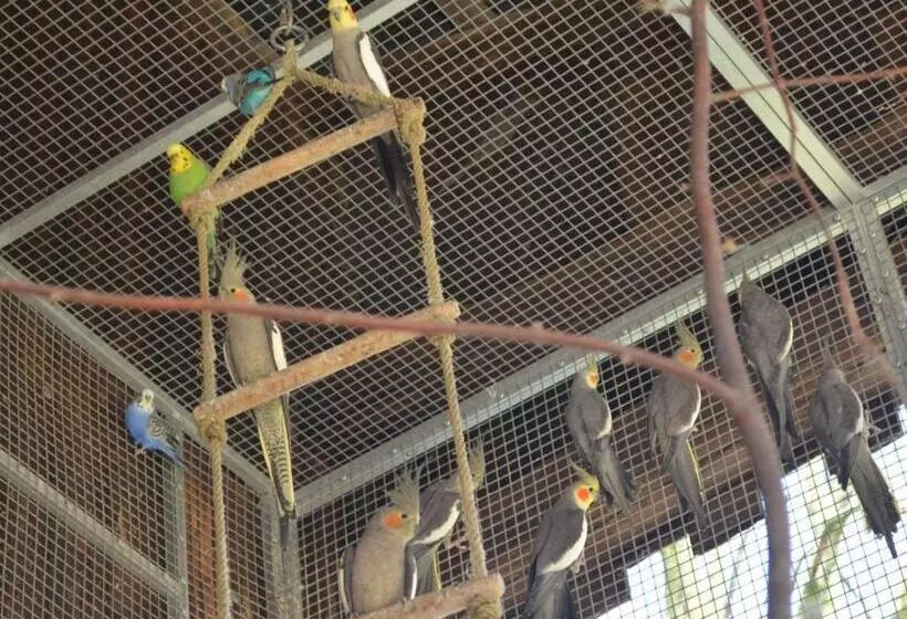 Ferienwohnung Noltenius