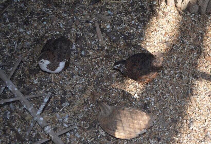 Ferienwohnung Noltenius