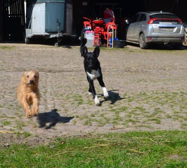 Ferienwohnung Noltenius
