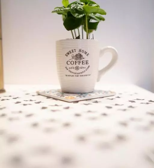 Il Saraceno Apartment