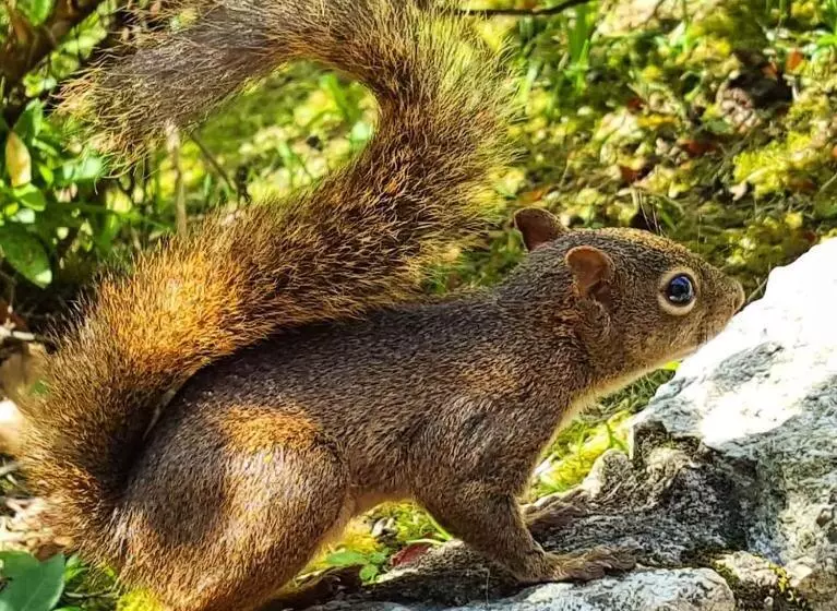 Paradise Hostel E Flats