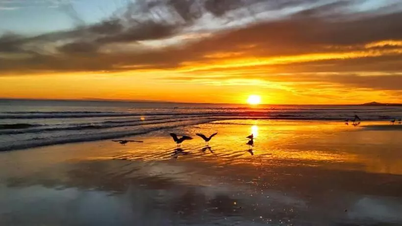 Parque Dos Reis Apartment 2