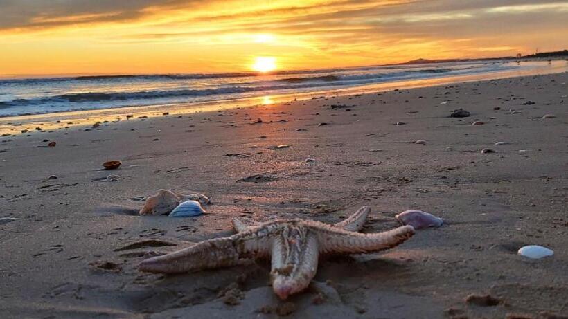 Parque Dos Reis Apartment 2