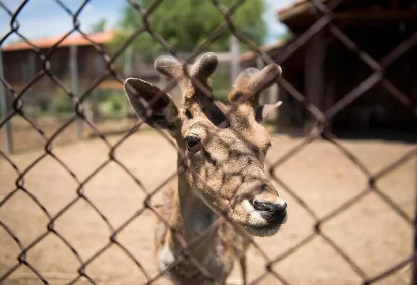 ペンション екокомплекс катунище