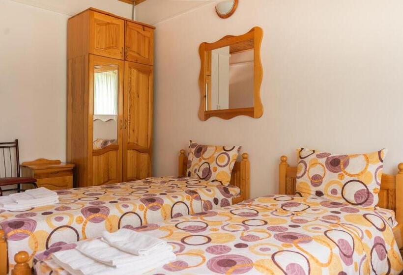 بنسيون гюмюрджински снежник