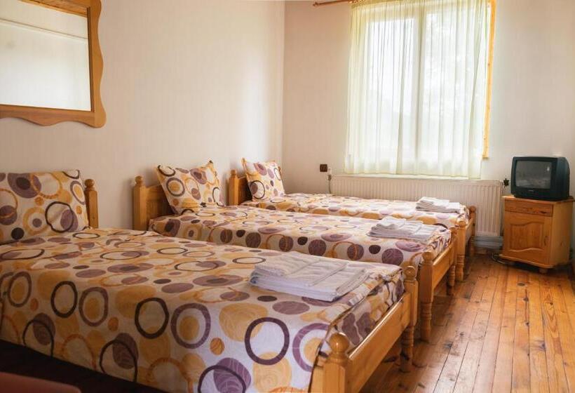 بنسيون гюмюрджински снежник