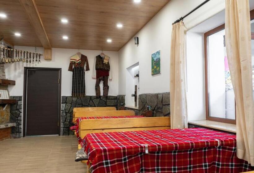 بنسيون гюмюрджински снежник