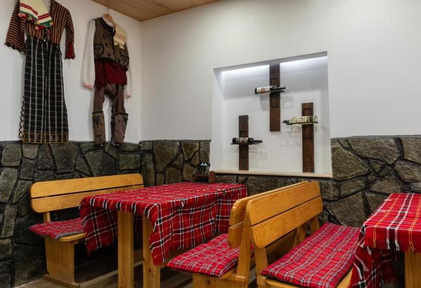 بنسيون гюмюрджински снежник