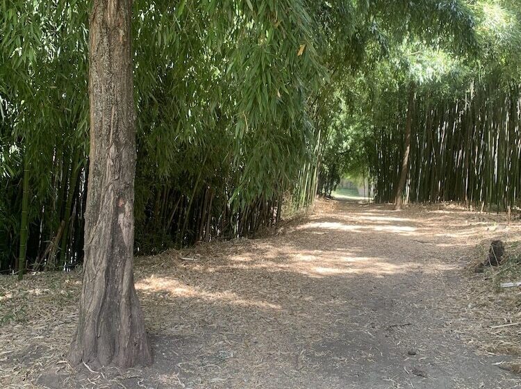 La Magnanerie Appartement St Ambroix