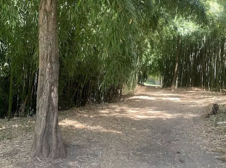 La Magnanerie Appartement St Ambroix