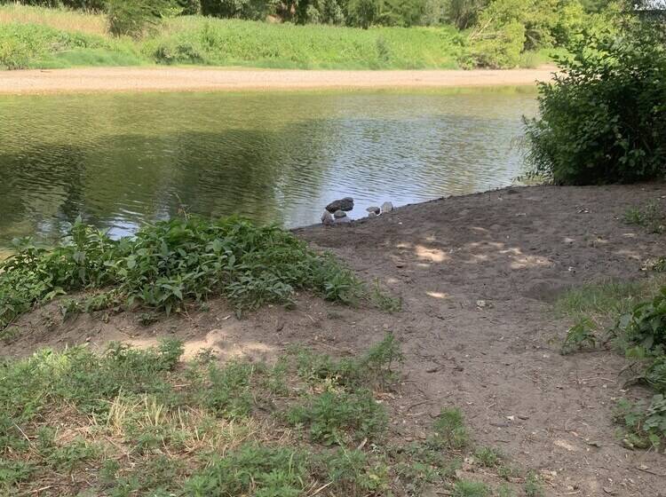 La Magnanerie Appartement St Ambroix
