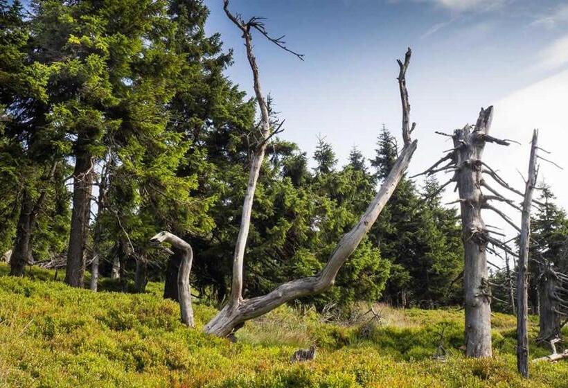 Horský Hotel Neptun