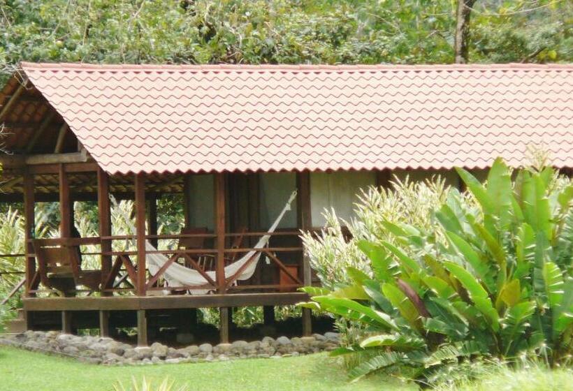 בית מלון כפרי La Anita Rain Forest