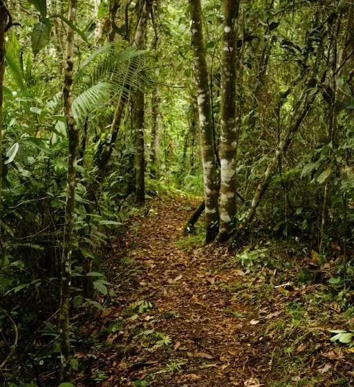 Hotelli La Anita Rain Forest