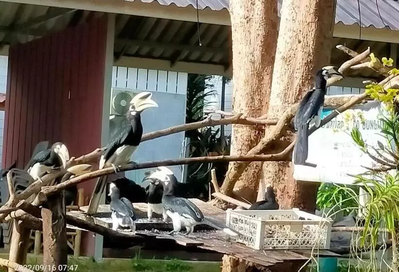 Majatalo Eco Bungalow