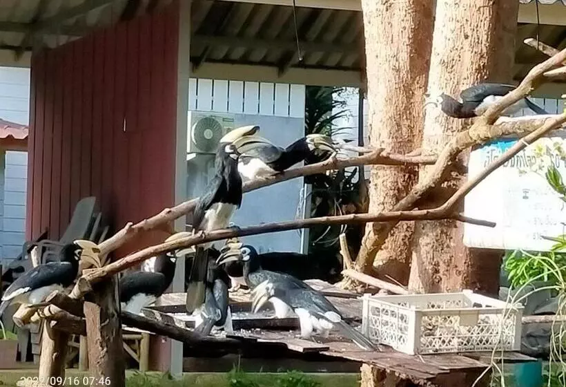 Majatalo Eco Bungalow