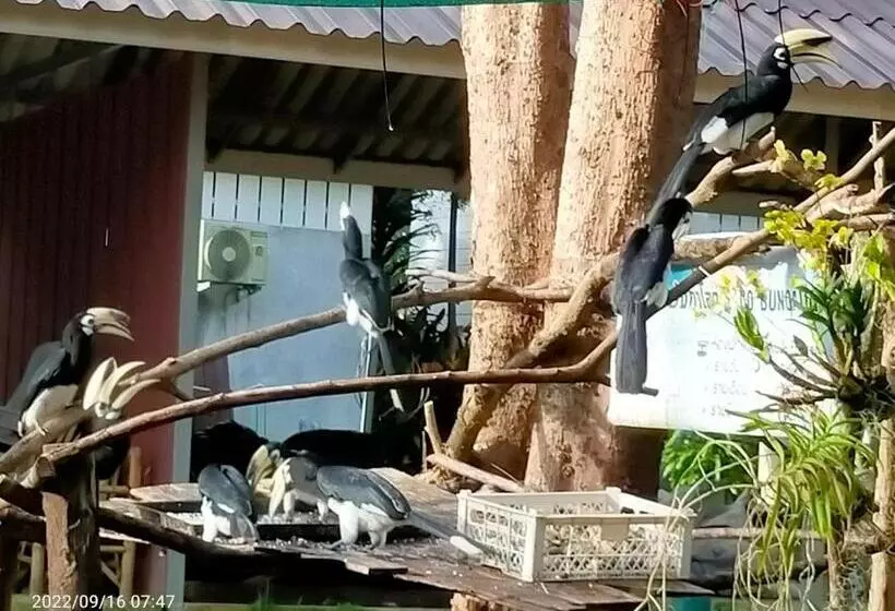 Majatalo Eco Bungalow