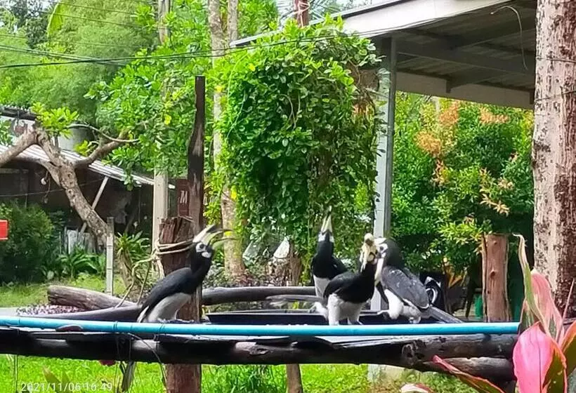 Majatalo Eco Bungalow