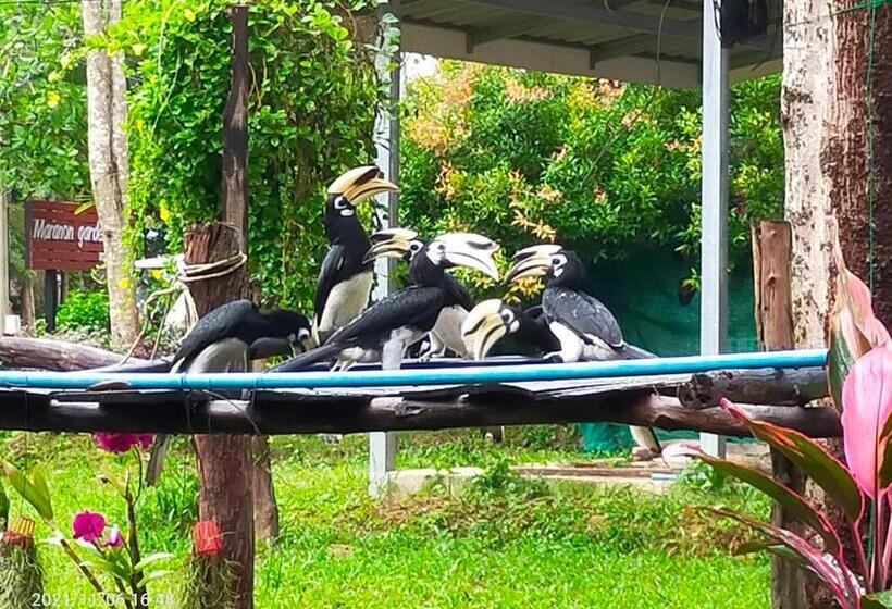 膳宿费 Eco Bungalow