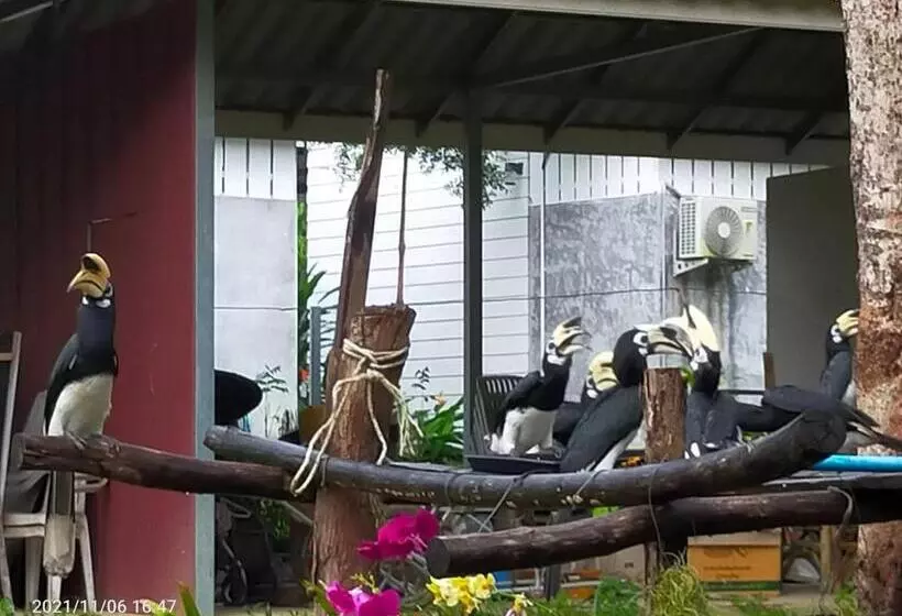 Majatalo Eco Bungalow