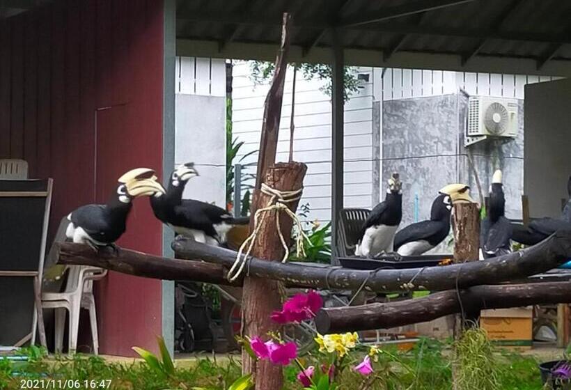 膳宿费 Eco Bungalow