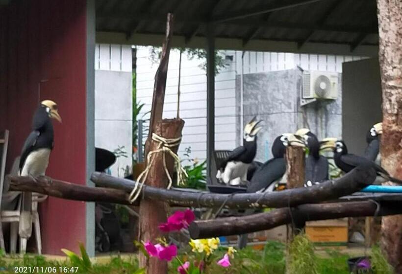 膳宿费 Eco Bungalow