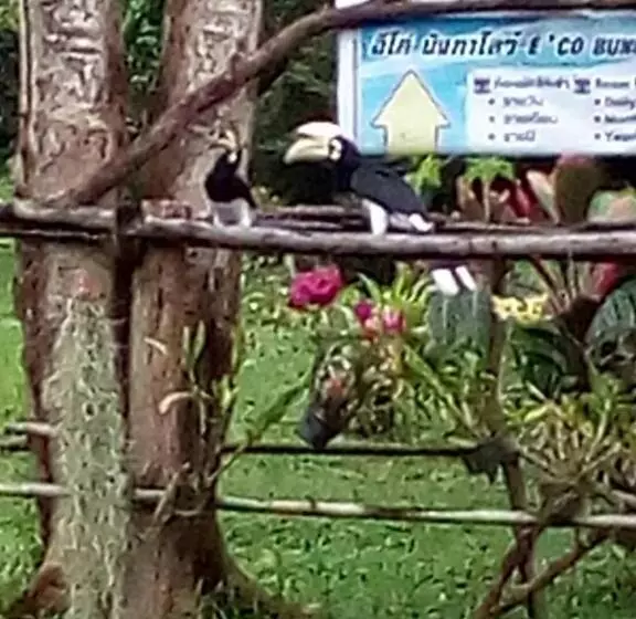 Majatalo Eco Bungalow