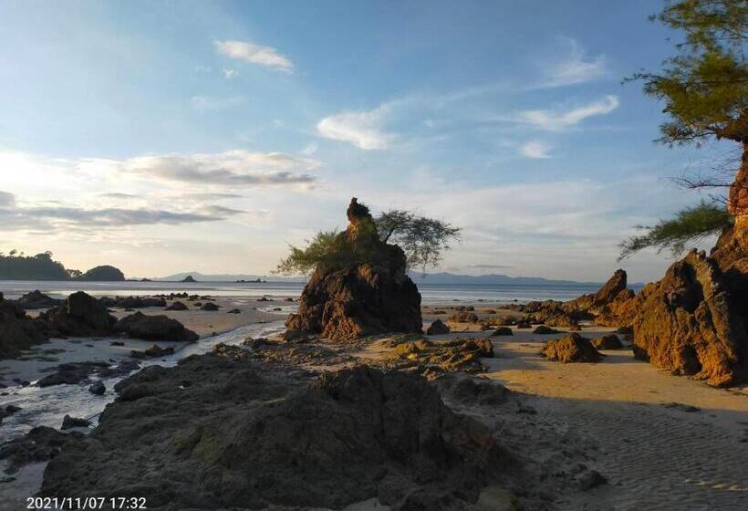 膳宿费 Eco Bungalow