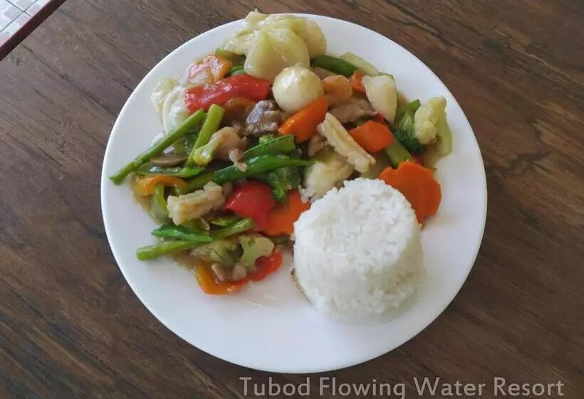 Tubod Flowing Waters Resort