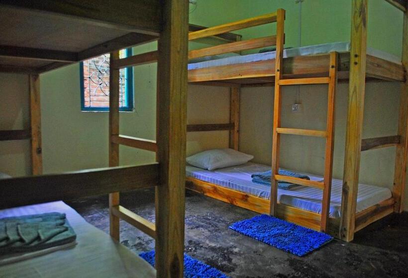 Coco Hostels   Arugambay