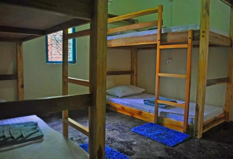 Coco Hostels   Arugambay
