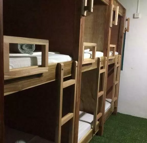 Coco Hostels   Arugambay