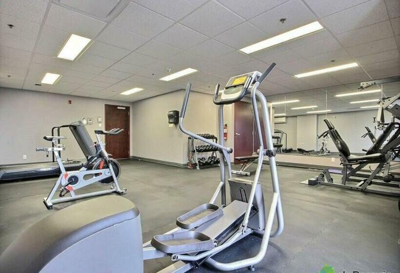 Le Chic Condo   Chute Montmorency