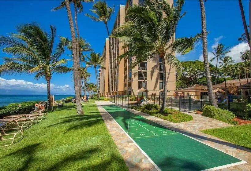 Mahana 316