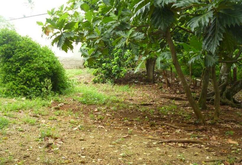 هاستل Posada Nativa Miss Casira