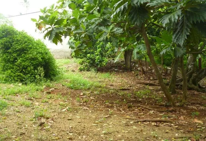 Retkeilymaja Posada Nativa Miss Casira