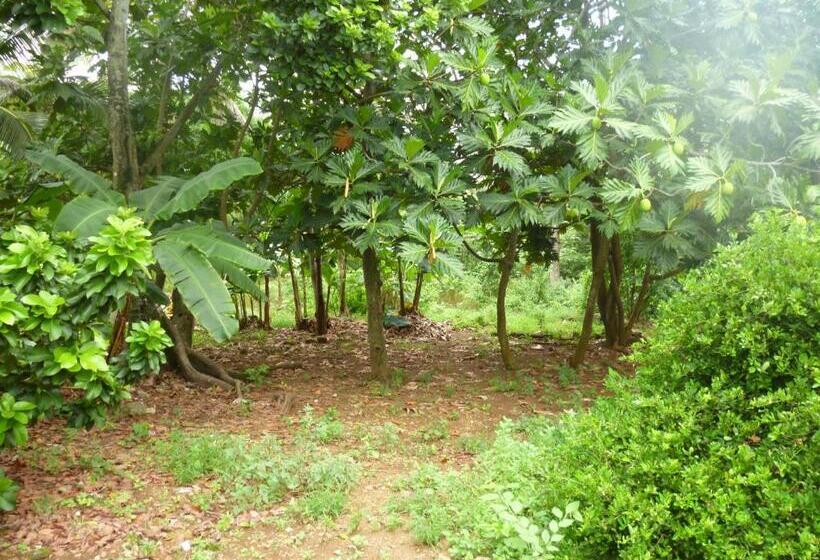 هاستل Posada Nativa Miss Casira