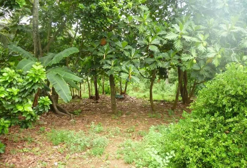 Retkeilymaja Posada Nativa Miss Casira