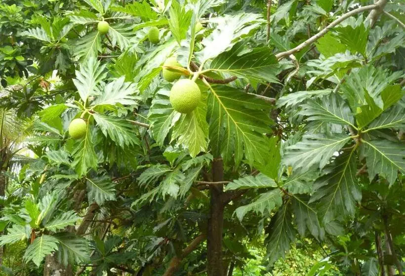 Retkeilymaja Posada Nativa Miss Casira