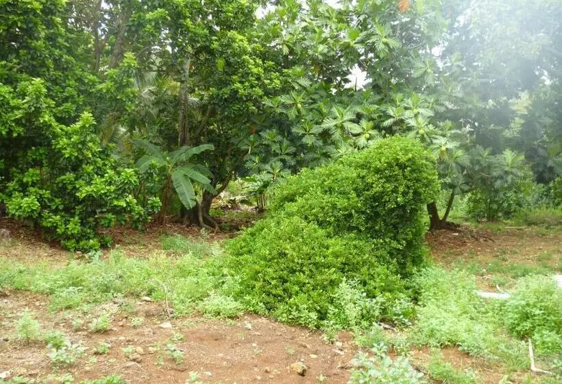 Retkeilymaja Posada Nativa Miss Casira